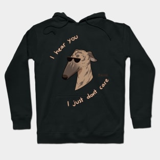 Dog don't care Hoodie